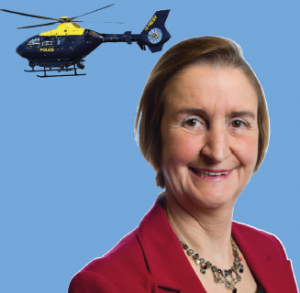 Concerns: Nia Griffith MP