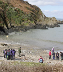 Cerddwyr Cylch Teifi yn mwynhau ar draeth Aber-bach ar daith mis Ebrill