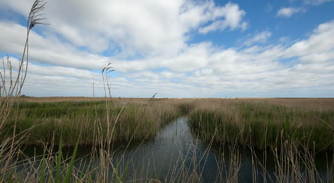 A modern marshland: On the edge of the North Sea