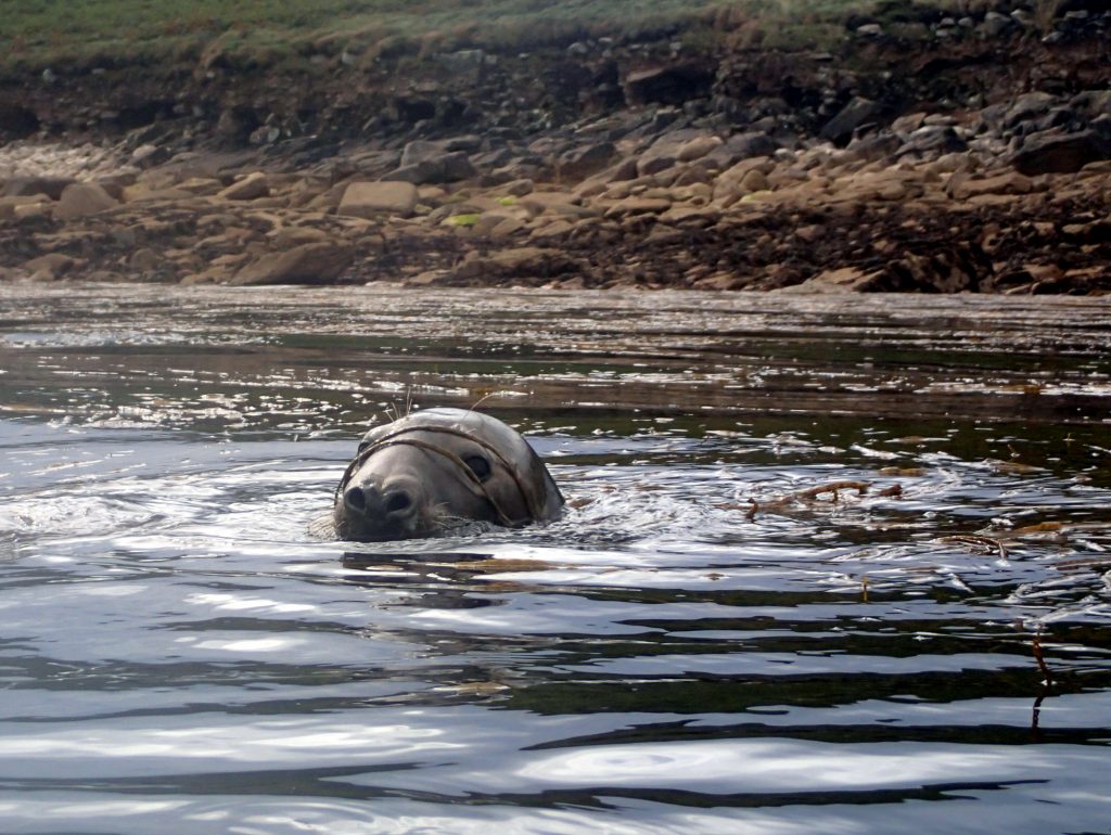 Winner: The photograph which won the award