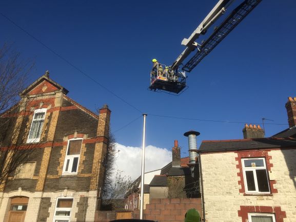 Cat rescued from three-storey Cardiff building by RSPCA and firefighters