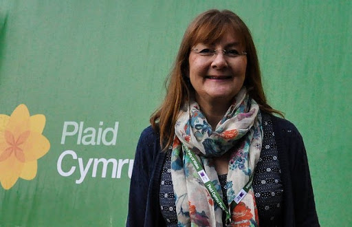 Clinical Psychologist, Mother and Plaid Cymru Gwynedd Chair