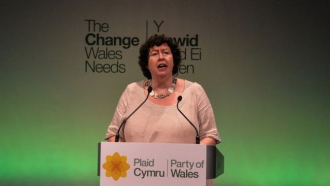 Plaid Cymru calls for reform of pay, terms and conditions to bring in equality of treatment for health and social care staff