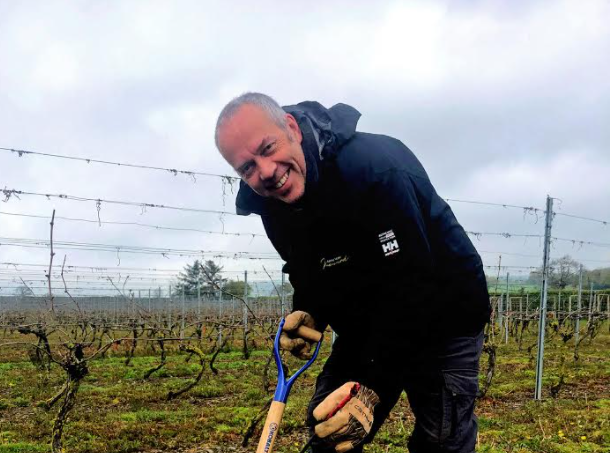 Welsh border vineyard flourishes with 500 new vines