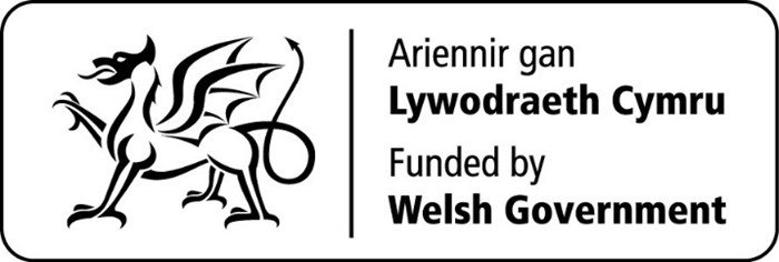 Evaluation of Economic Resilience Fund (ERF) support for businesses in Wales
