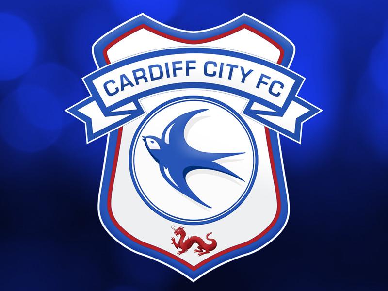 Cardiff earn a draw at West Brom