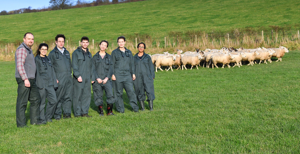 Wales’ first student vets begin studies at Aberystwyth University