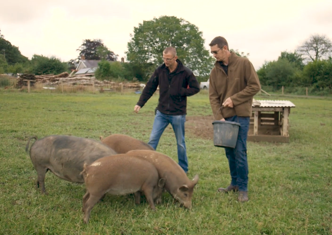 Carmarthen pork producer celebrating being shortlisted as having Wales’s best banger