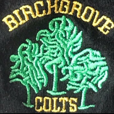Colts too good for Boro in West Wales Cup