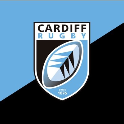 Cardiff slip to defeat in Edinburgh