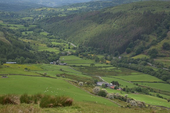 Preventing Wales’ Corporate Carbon Land Grab: FUW webinar shines spotlight on issues