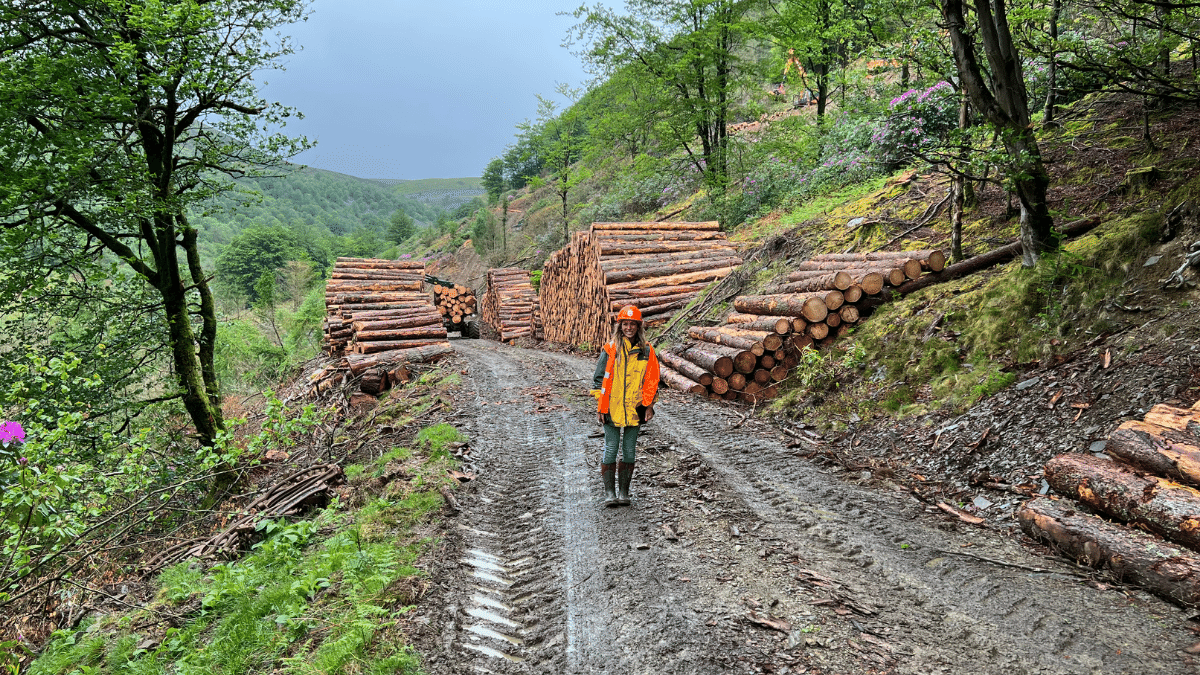Sustainable Forestry Skills Training Programme Launches in Wales 