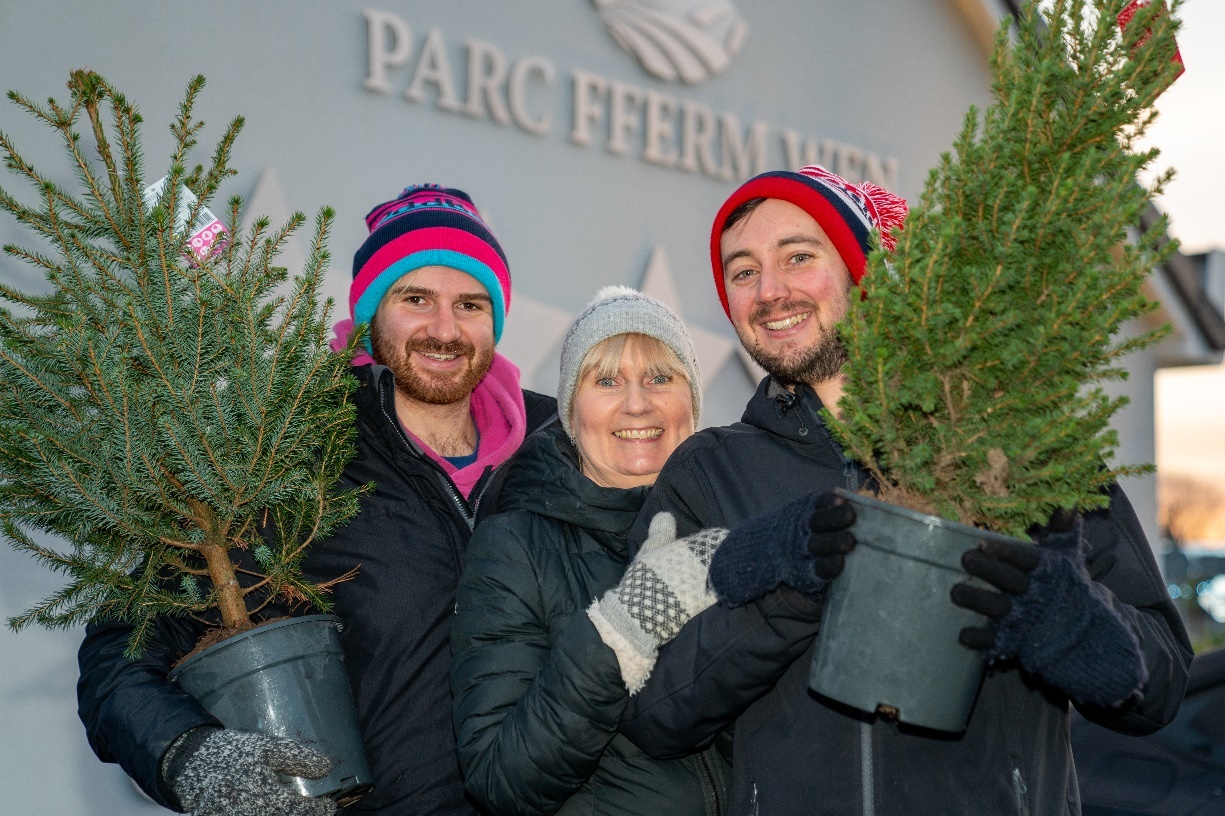 Barry residents receive Christmas tree donation from local housebuilder Herald.Wales
