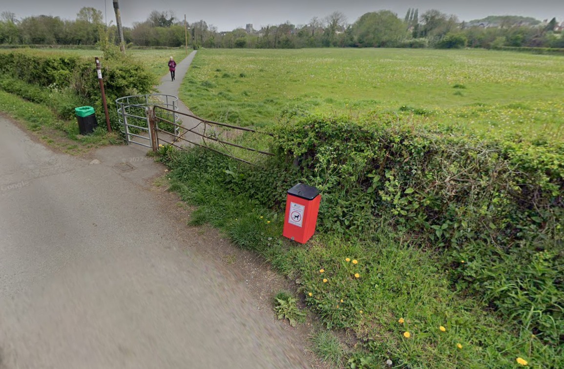 Flintshire Council to tighten dog fouling enforcement Herald.Wales