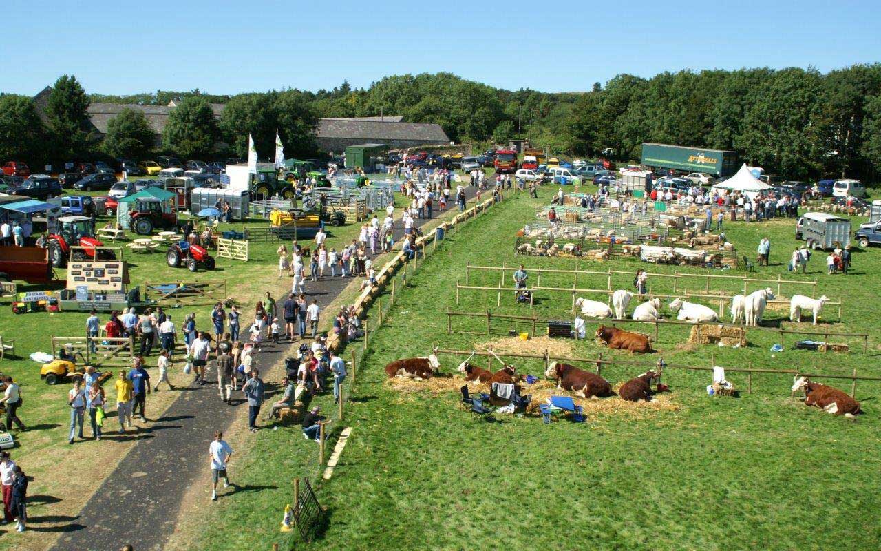 The Gower Show 2023 Celebrating the best of the countryside Herald.Wales