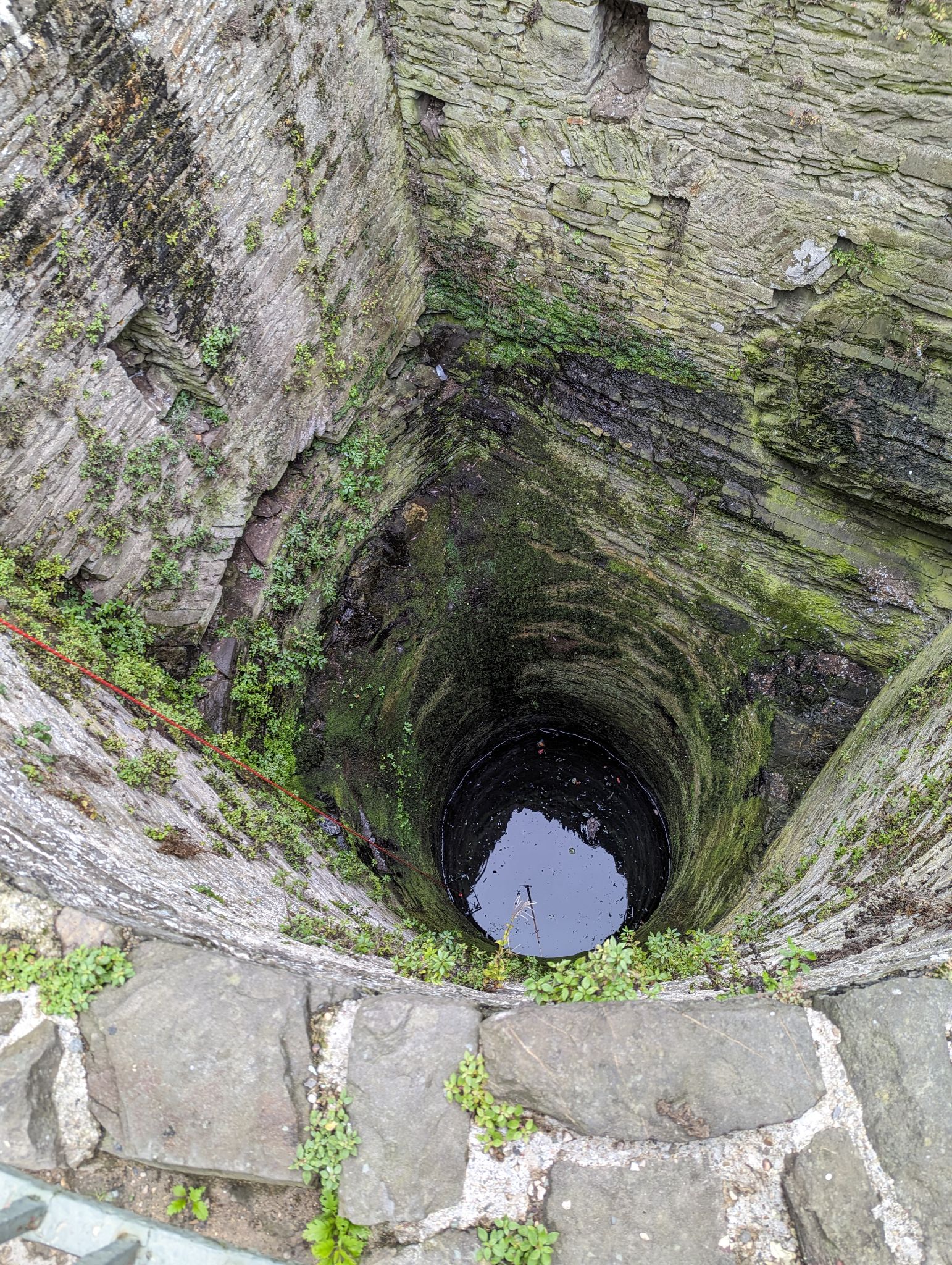 RSPCA rescue gull from well at historic Conwy Castle Herald.Wales