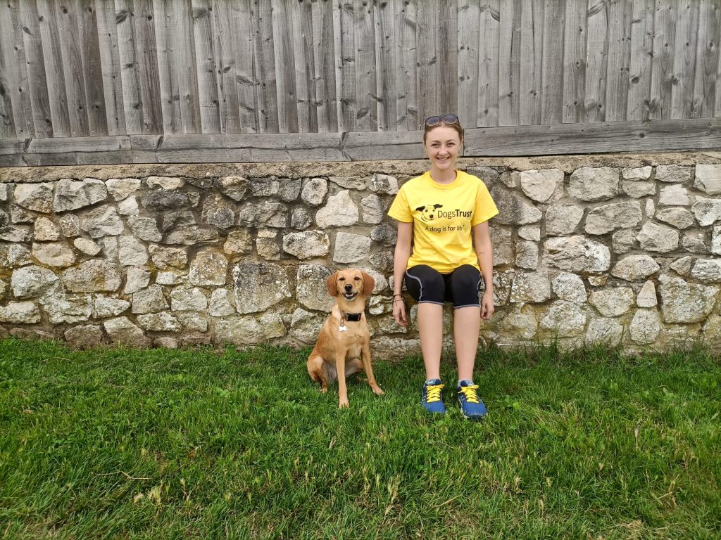 Dogs Trust Bridgend and Dogs Trust Cardiff asks supporters to ‘Sit and