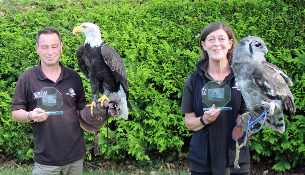 British Bird Of Prey Centre Wales  Flying Experiences Carmarthenshire