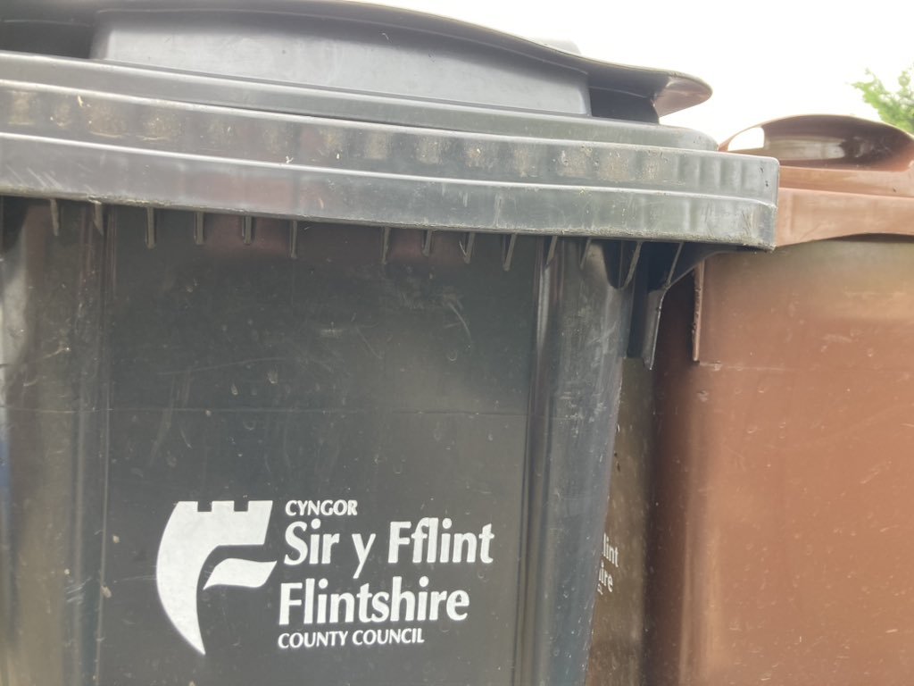 Flintshire Council proposing shakeup of waste collections to avoid £1m
