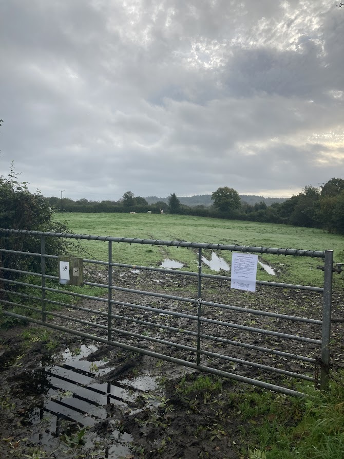 Social housing provider plans to build 31 homes on field in Pontlliw 