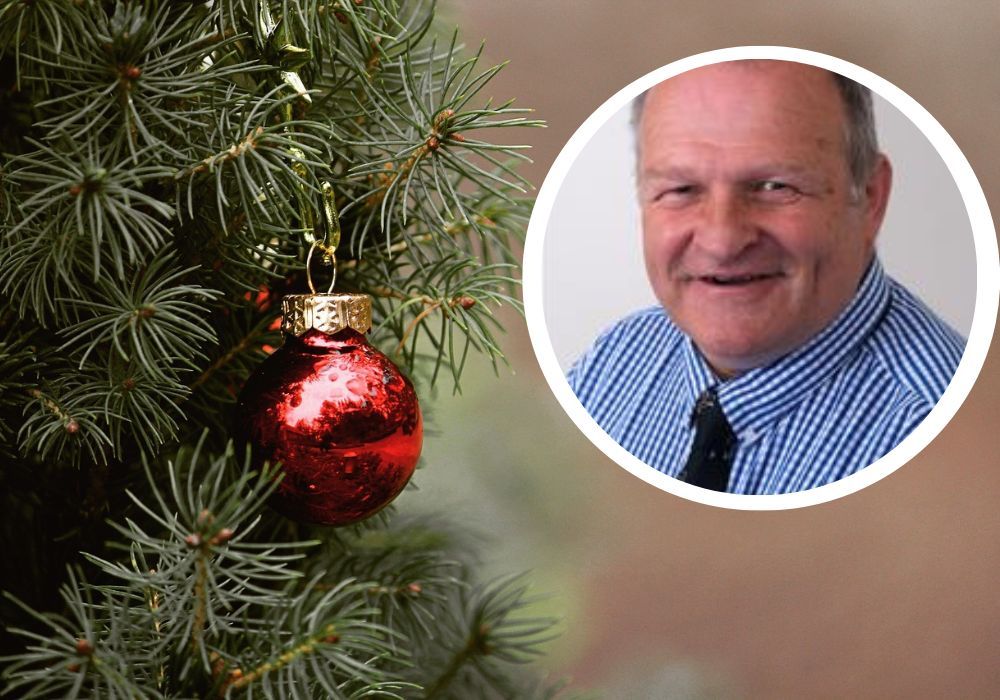 Council Christmas tree collections to come under spotlight Herald.Wales